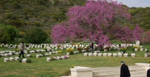 Gallipoli Tour From Kusadasi Selcuk and Ephesus