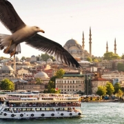 Istanbul Bosphorus Cruise & Two Continents Tour
